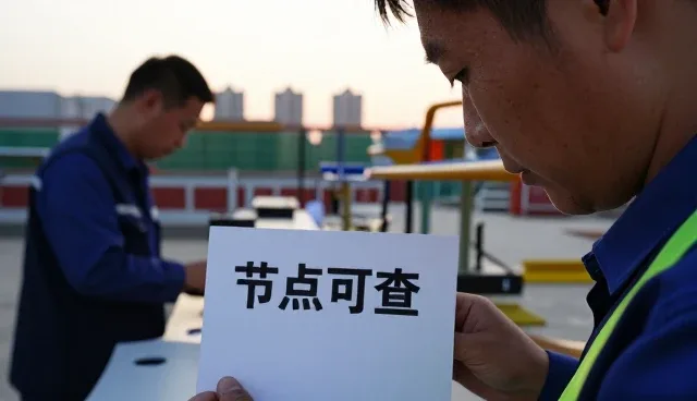 项目咨询等在真实环境中的表现