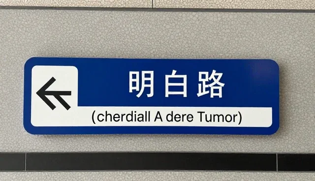 客户信息丢失如何高效追踪与恢复
